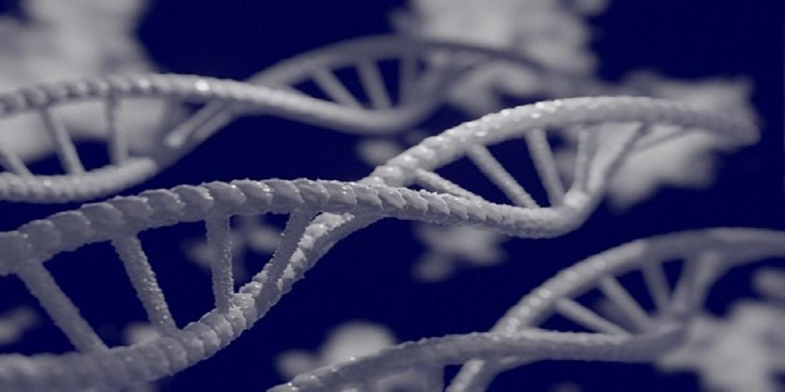 Biotechnology